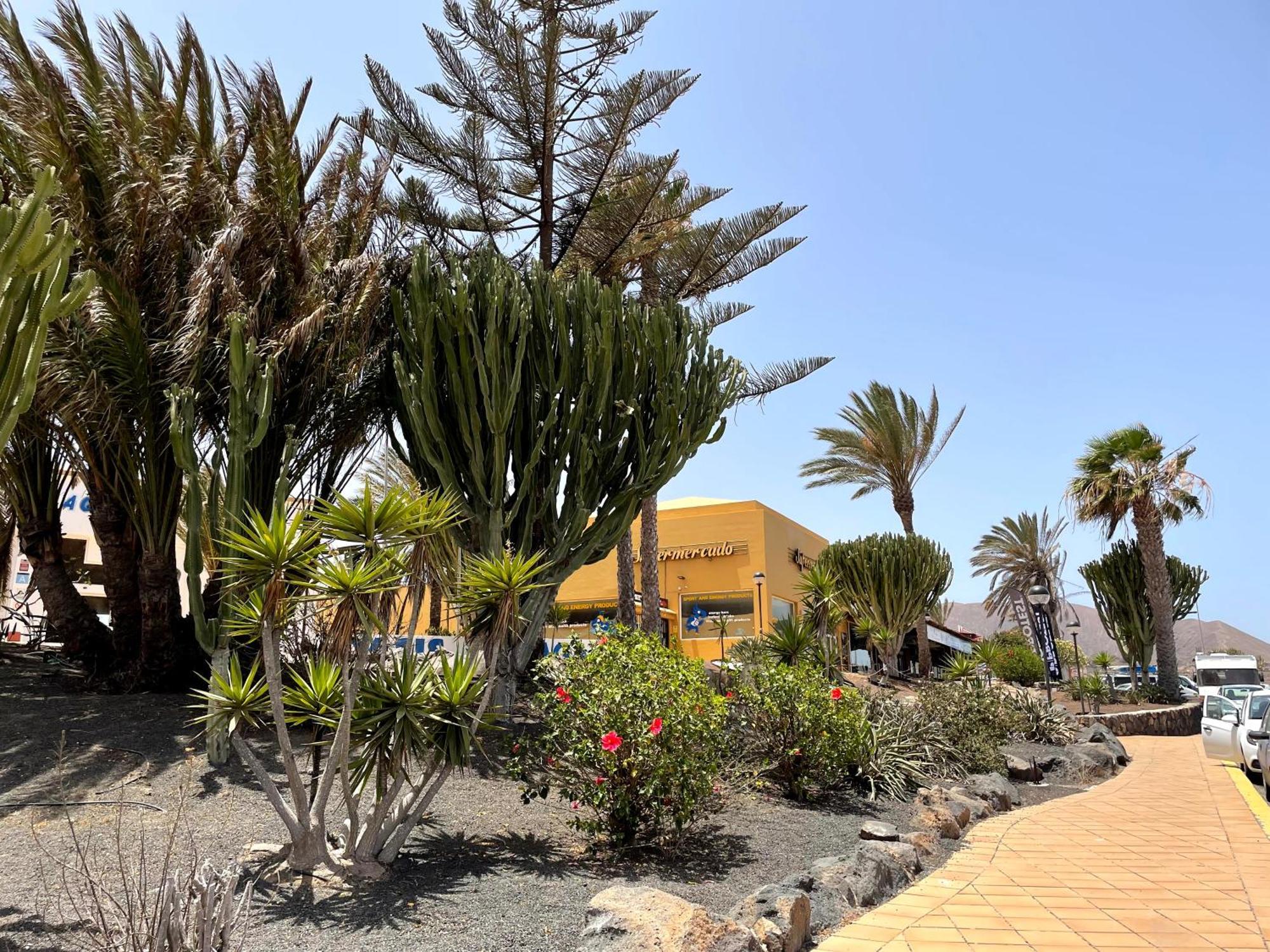 Апартаменты Casa Relax Papagayo Corralejo Irent Fuerteventura Экстерьер фото